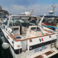 Sea ray 300 linea d'asse