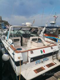 Sea ray 300 linea d'asse