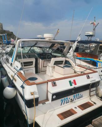 Sea ray 300 linea d'asse