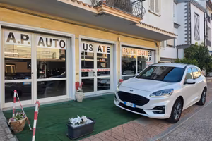 Ford Kuga 2.0 EcoBlue Hybrid 150 CV 2WD ST-Line