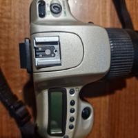 nikon f50