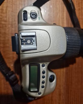 nikon f50