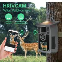 telecamera selvaggina foto trappola energia solare