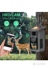 telecamera selvaggina foto trappola energia solare