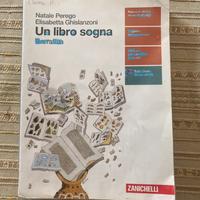 Un libro sogna