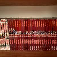 Fairy Tail