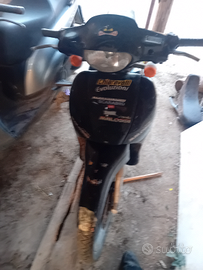 Scarabeo 75 dr