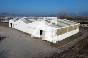 CAPANNONE E AMPIO TERRENO - MONFALCONE / PORTO