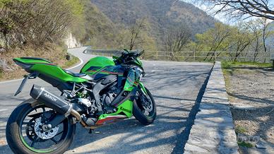 Kawasaki Ninja ZX-4 - 2024