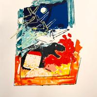 Serigrafia Mario Schifano