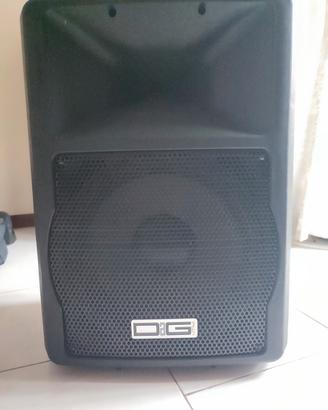 cassa amplificata 12"