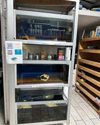 Espositore per pesci