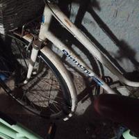 bici da donna bianchi vintage