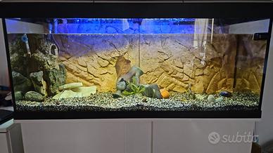 Acquario 240 lt con mobiletto ASKOLL