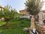 Immagine 21