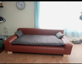cuccia divano cani
