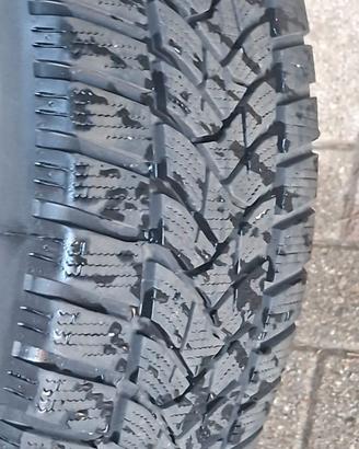 pneumatici invernali  dunlop sport 5
