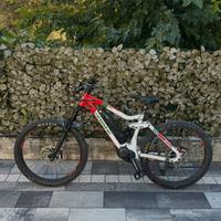 ebike e-bike bici pedalata assistita HAIBIKE