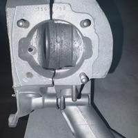 Carter Vespa V5A1M