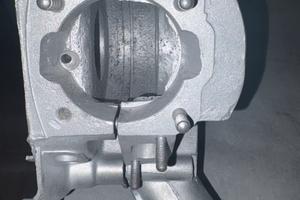 Carter Vespa V5A1M