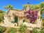 Immagine 26