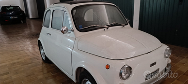 500 F del 73, Fiat 110/F/II