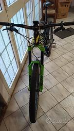 Devinci spartan carbon