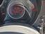 Immagine 13