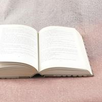 Tutti i romanzi George Simenon