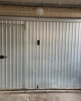 Porta Basculante Zincata con Porta Pedonale