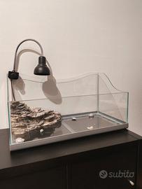 acquario per tartarughe o altro 