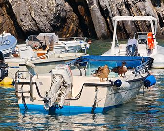 Conero Delfino Open 4,55 mt – Johnson 25 CV 2T