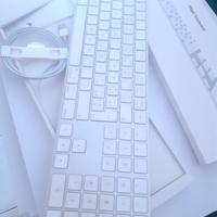 Come nuova - Tastiera MAC Originale Magic Keyboard