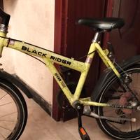 Bicicletta per bambino 