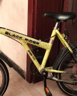 Bicicletta per bambino 