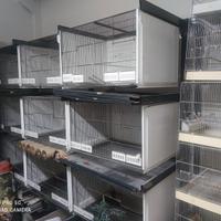 batteria gabbie terenziani