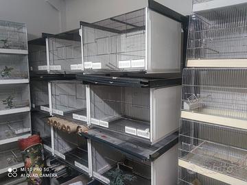 batteria gabbie terenziani