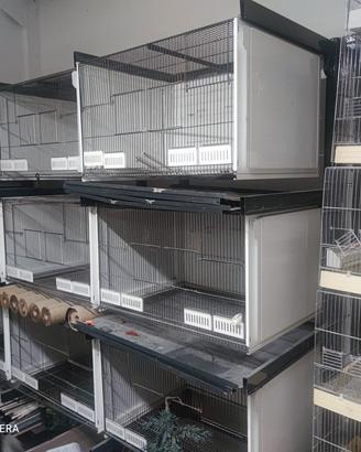 batteria gabbie terenziani