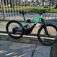 Kenevo Expert specialized