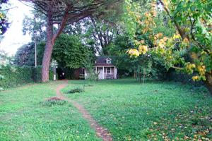 Terreno alberato in zona residenziale