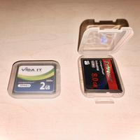 2 schede CompactFlash (2 GB + 8 GB) con custodia