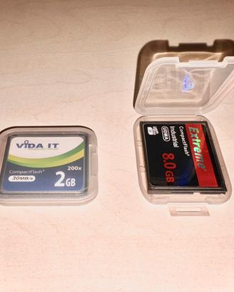 2 schede CompactFlash (2 GB + 8 GB) con custodia