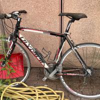 Biciceltta