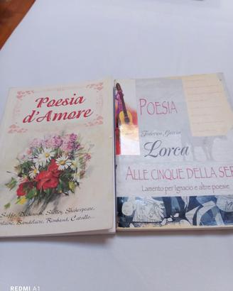 libri poesie 