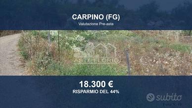 Immobile in asta di 10848 m² a Carpino