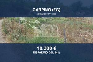 Immobile in asta di 10848 m² a Carpino