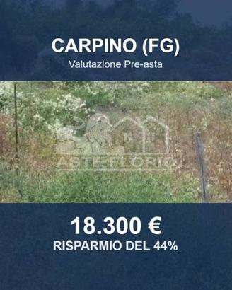 Immobile in asta di 10848 m² a Carpino