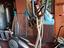 Immagine 2