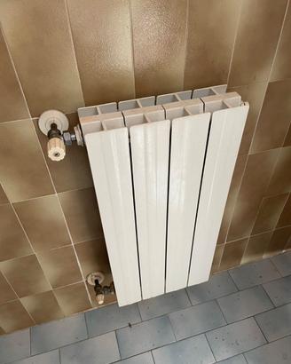 Termosifoni in alluminio