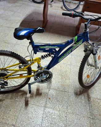 Bicicletta